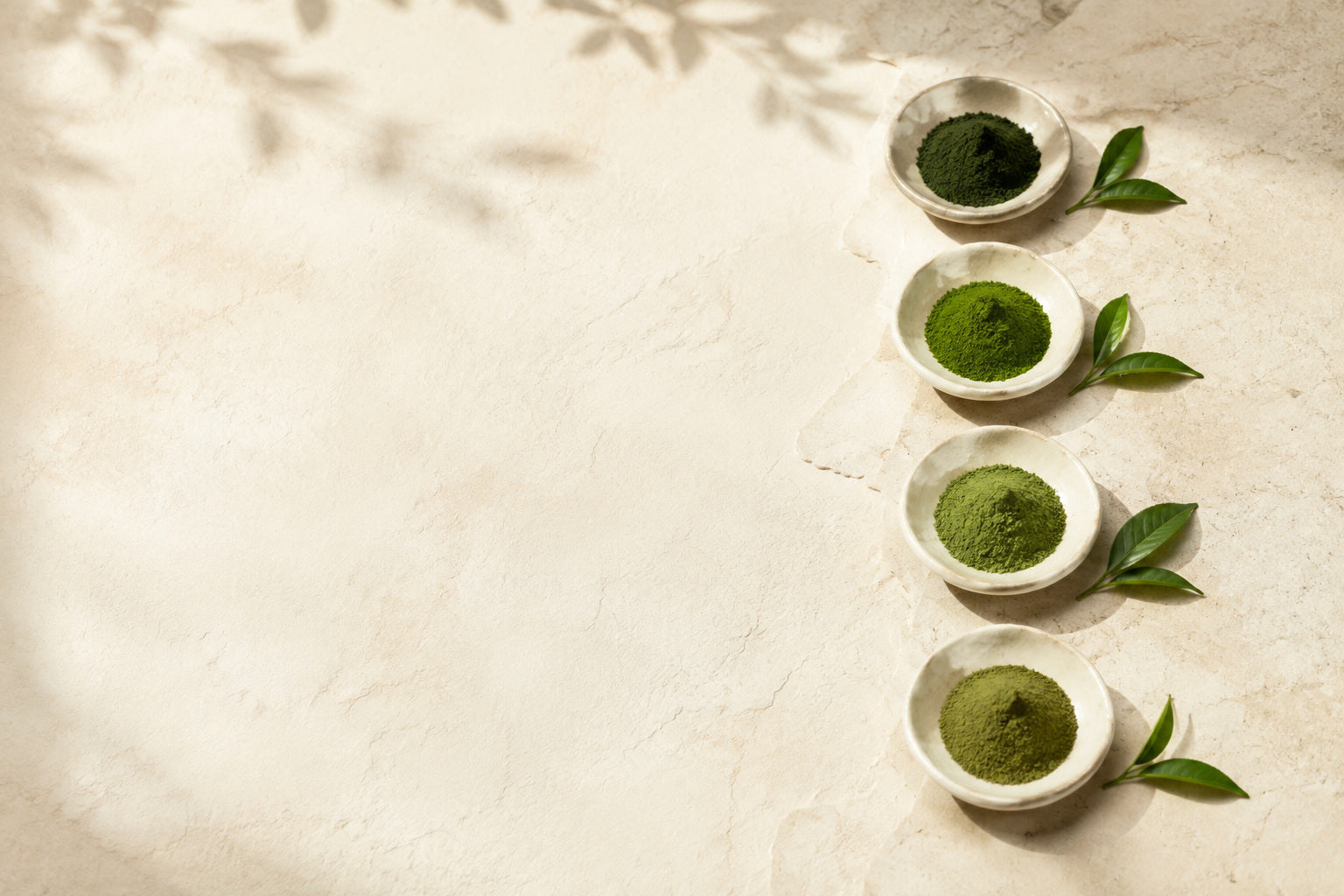 Four shallow ceramic dishes in a column, each holding matcha of a different shade from deep forest to pale olive, with fresh tea leaves laid beside them on a pale stone surface