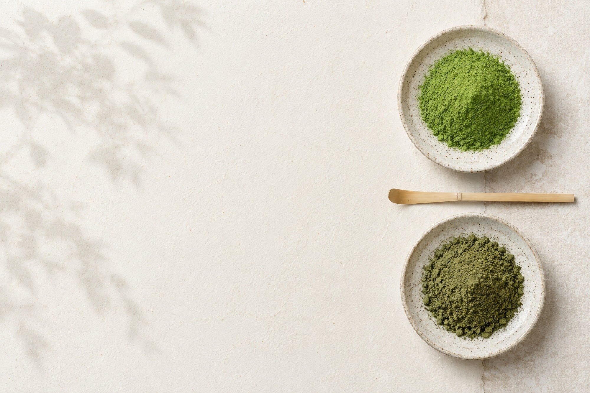 Two shallow speckled ceramic dishes seen from above, one holding bright green matcha and the other a duller olive powder, with a bamboo scoop lying between them on a pale plaster surface